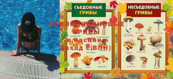 прущий лед Костерёво