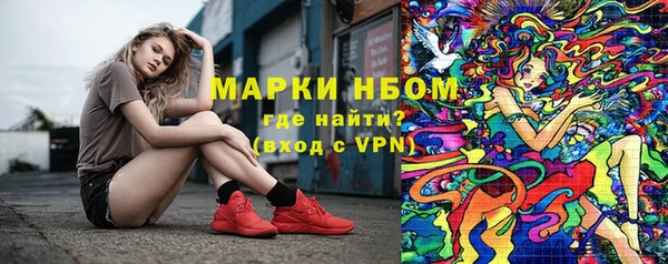 гидра Коряжма