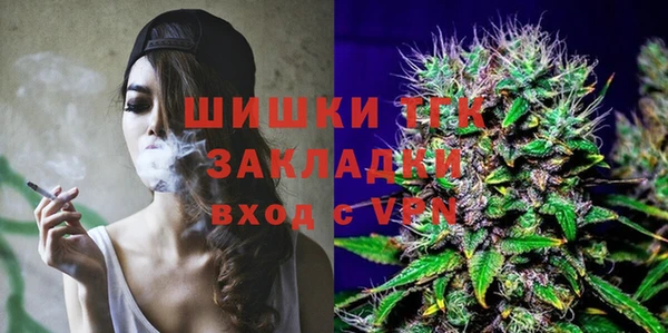 гидра Медногорск