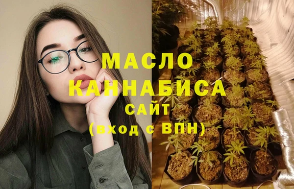 гидра Коряжма