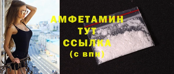 гидра Коряжма