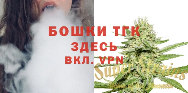 прущие грибы Мегион