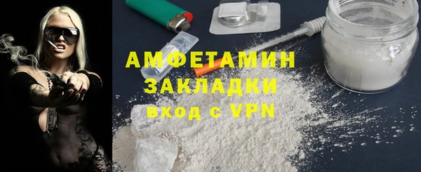 прущие грибы Мегион