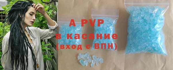 прущие грибы Мегион