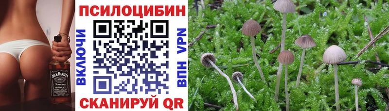 Псилоцибиновые грибы Psilocybe  Льгов 